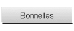Bonnelles