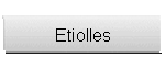 Etiolles