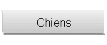 Chiens