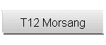 T12 Morsang